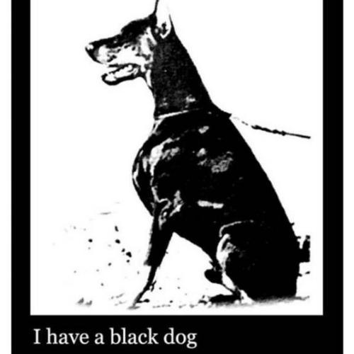 สมาชิกหมายเลข 1764489