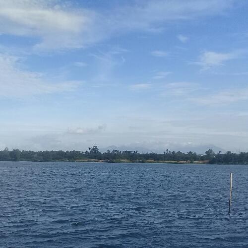 สมาชิกหมายเลข 4648419