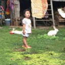 สมาชิกหมายเลข 1392818