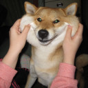 ไม่ค่อยน่ารัก แต่ล้างจานเก่ง