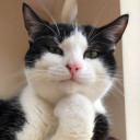 สมาชิกหมายเลข 3498378