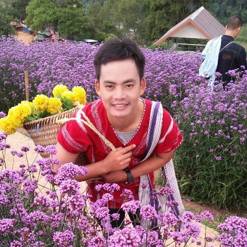 สมาชิกหมายเลข 4098261