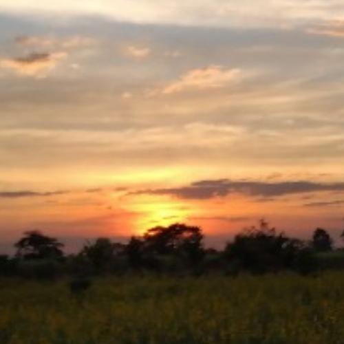 สมาชิกหมายเลข 4402384