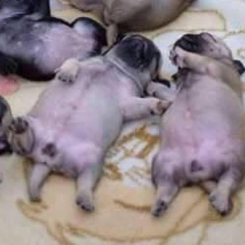 สมาชิกหมายเลข 5819590