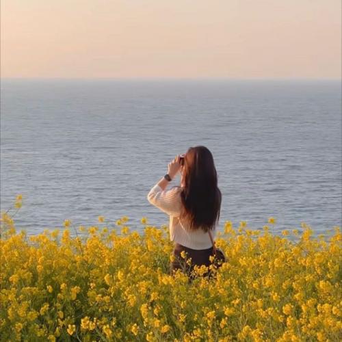 สมาชิกหมายเลข 4648108