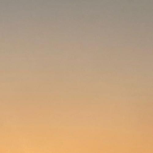 สมาชิกหมายเลข 8039445