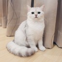 สมาชิกหมายเลข 3678030