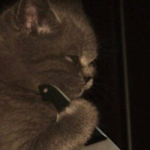 สมาชิกหมายเลข 5896612