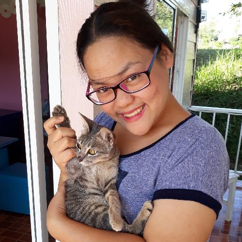 สมาชิกหมายเลข 6515033