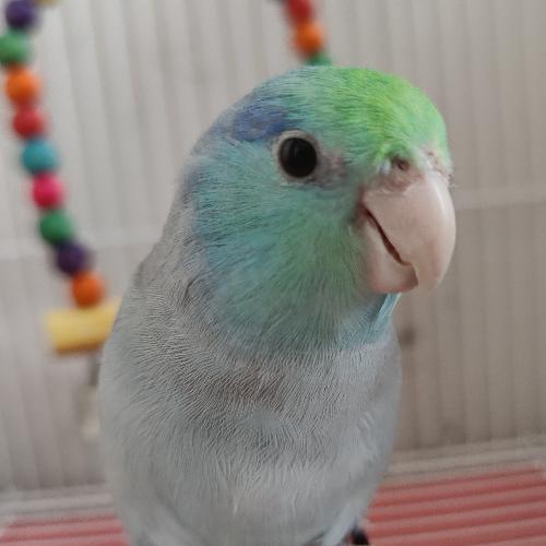 สมาชิกหมายเลข 4023324