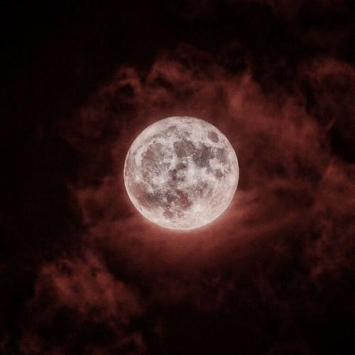 สมาชิกหมายเลข 7219035