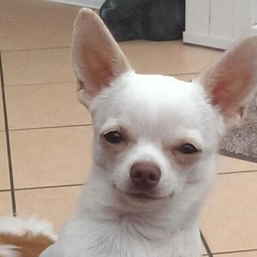 สมาชิกหมายเลข 7224004