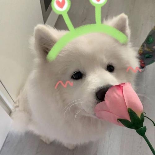 สมาชิกหมายเลข 7227025