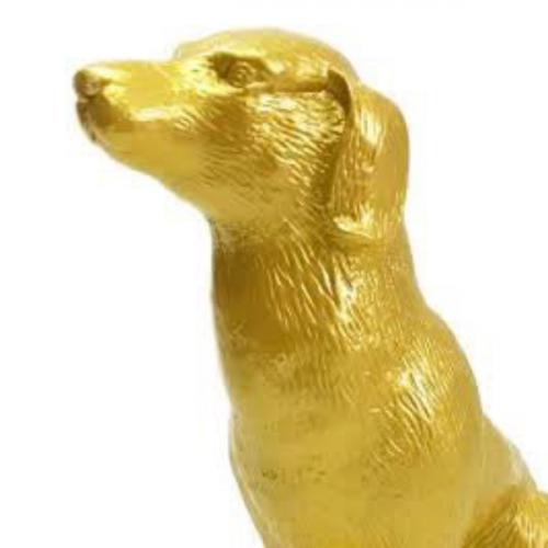 สมาชิกหมายเลข 7227264