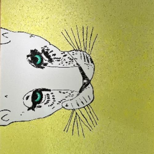 สมาชิกหมายเลข 9062766