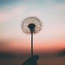 สมาชิกหมายเลข 2484072