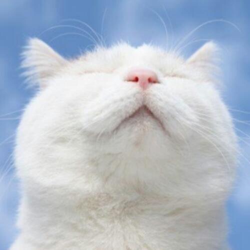 สมาชิกหมายเลข 3933474