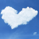 สมาชิกหมายเลข 4650390