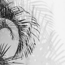 สมาชิกหมายเลข 5012099