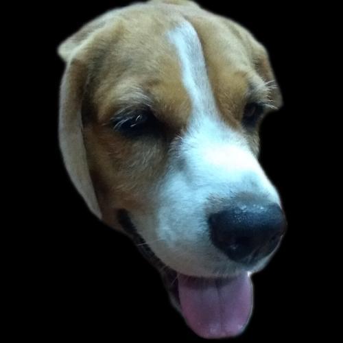 ยูโรหมาบีเก้ล