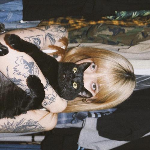 สมาชิกหมายเลข 2742561