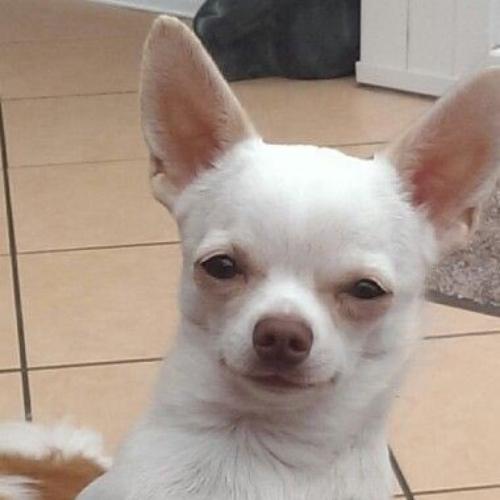 สมาชิกหมายเลข 5019952