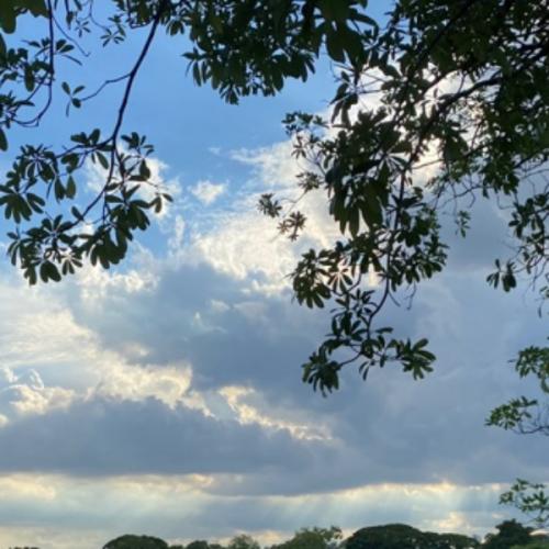 สมาชิกหมายเลข 7007572