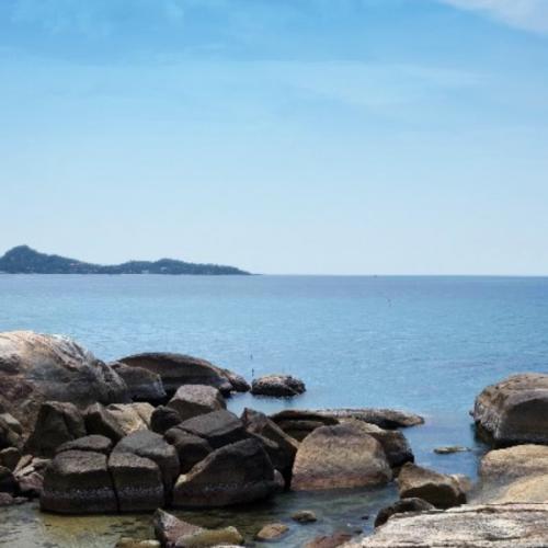 สมาชิกหมายเลข 4882293