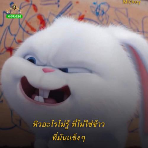 สมาชิกหมายเลข 5881331