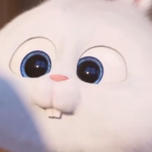 สมาชิกหมายเลข 8160420