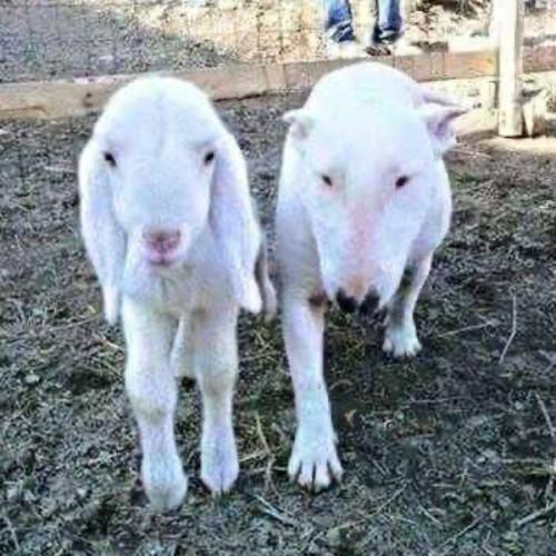 สมาชิกหมายเลข 9061889