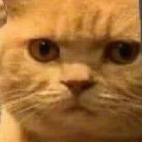 สมาชิกหมายเลข 9063658