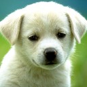 สมาชิกหมายเลข 3794610