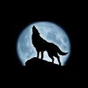 สมาชิกหมายเลข 3802518