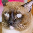 สมาชิกหมายเลข 796561