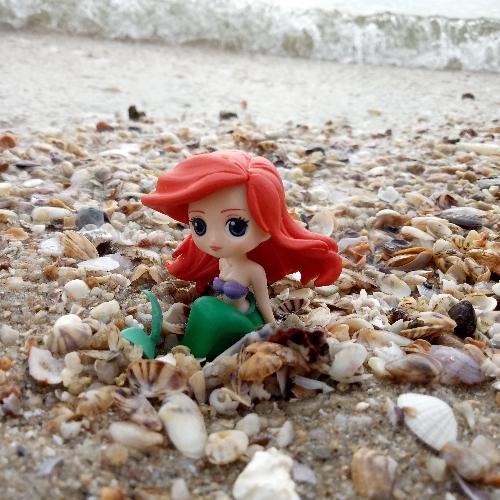 สมาชิกหมายเลข 2604430