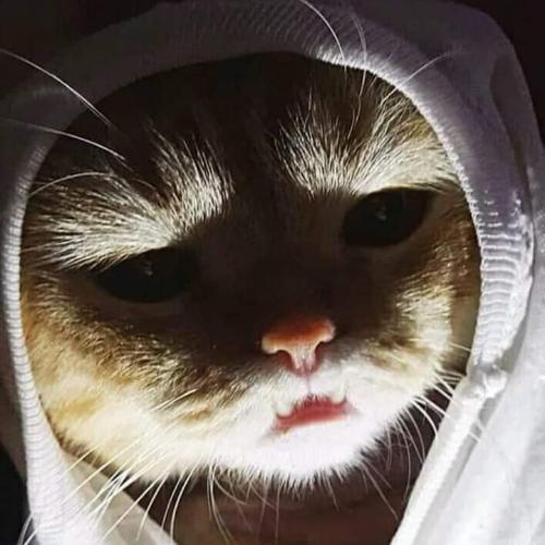 สมาชิกหมายเลข 4598548