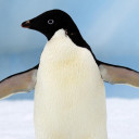 สมาชิกหมายเลข 2838719