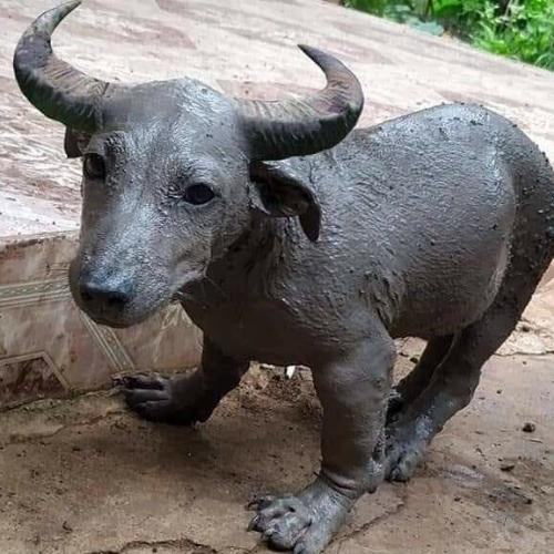 สมาชิกหมายเลข 5913532