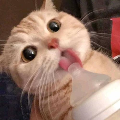 สมาชิกหมายเลข 5913833