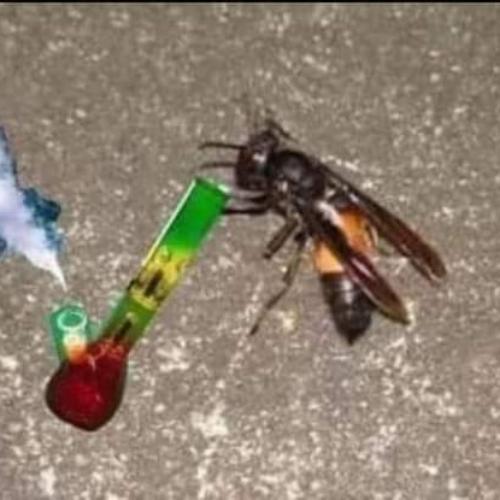 สมาชิกหมายเลข 5688370