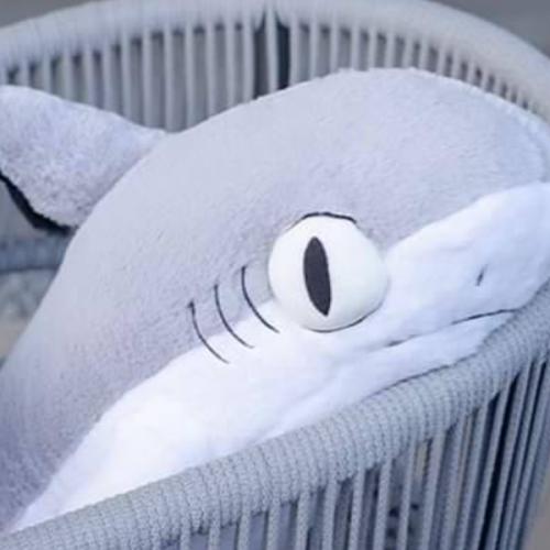 สมาชิกหมายเลข 4476980