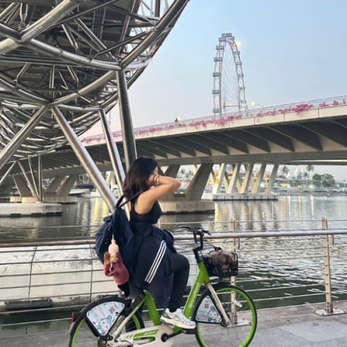 สมาชิกหมายเลข 7329357