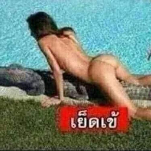 สมาชิกหมายเลข 9064234