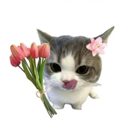 สมาชิกหมายเลข 9064665