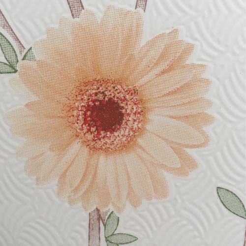 สมาชิกหมายเลข 4267343