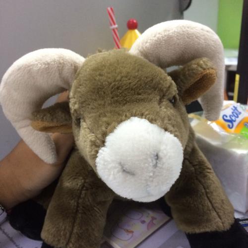 สมาชิกหมายเลข 4651288