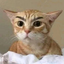 สมาชิกหมายเลข 1397969