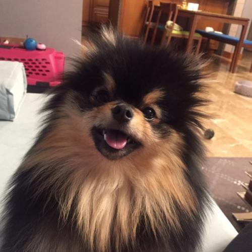 สมาชิกหมายเลข 5406468