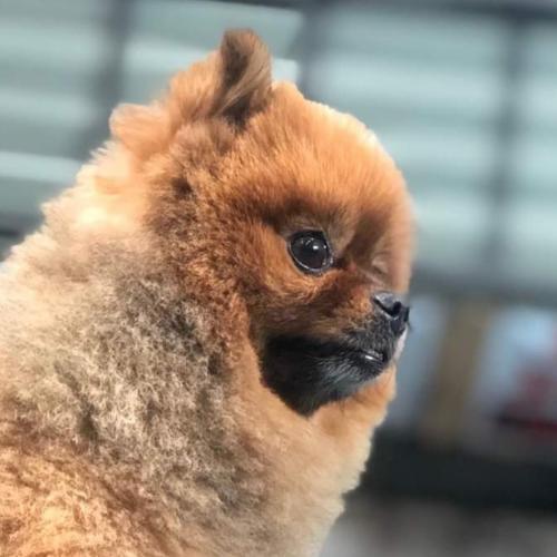 สมาชิกหมายเลข 5406778